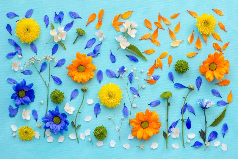 花卉的缤纷世界 混合之美与园艺艺术