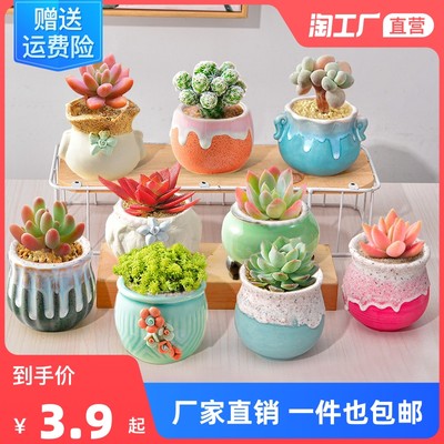 网购花卉 绿意盎然的新潮流，点缀生活的便捷之选