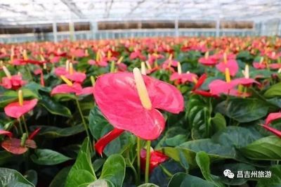 这个周末，给孩子一个最绿色、最温暖的亲子游！