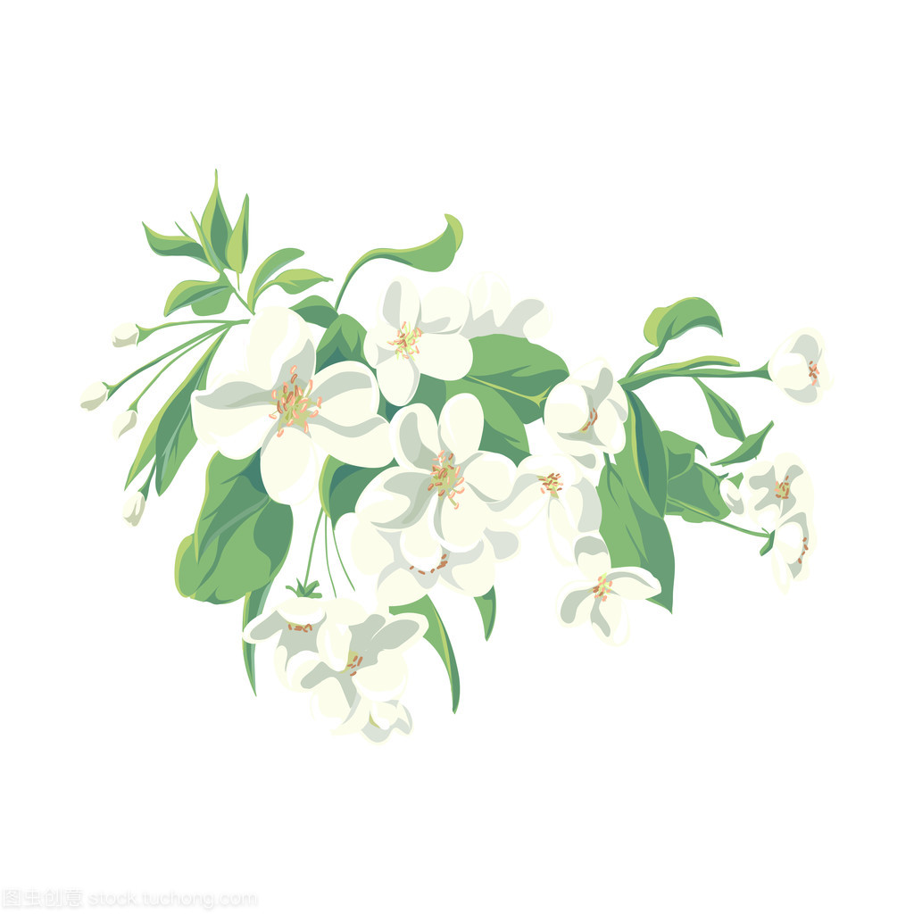 凝香入画 中国花卉图的艺术世界